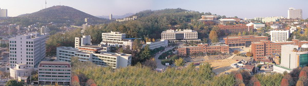 (서울)전경_resize_resize.jpg
